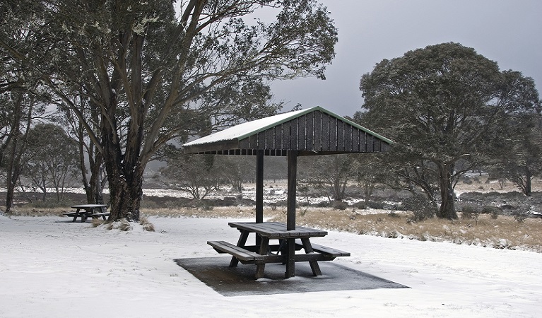 Polblue picnic area, Barrington Tops National Park. Photo: Shane Ruming/OEH