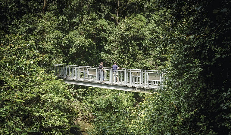 Bridge over Williams River, Blue Gum loop trail. Photo: John Spencer/OEH