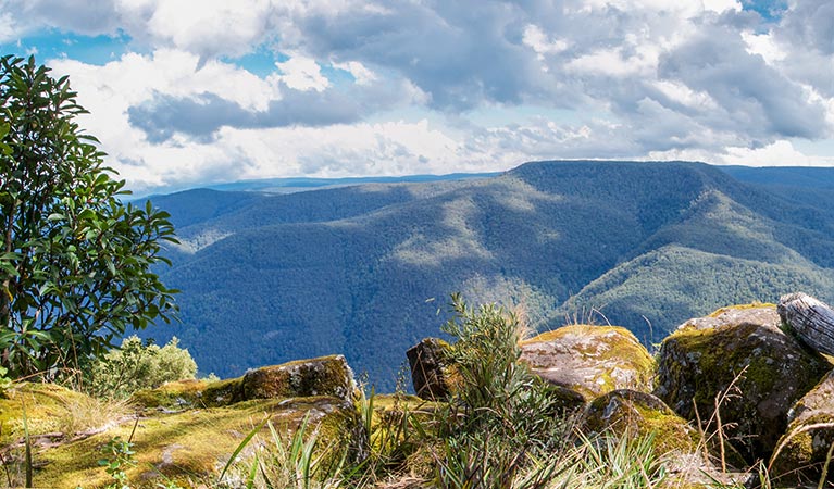 View of mountains and valleys from Thunderbolt's lookout, Barrington Tops National Park. Photo: John Spencer/OEH