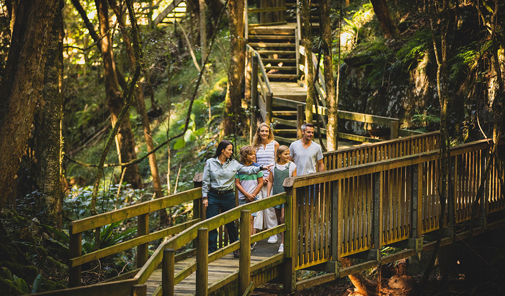 A family walking across a timber boardwalk with a NSW national parks guide, enjoying a guided tour of Copeland Tops State Conservation Area. Credit: Guy Williment  © Destination NSW
