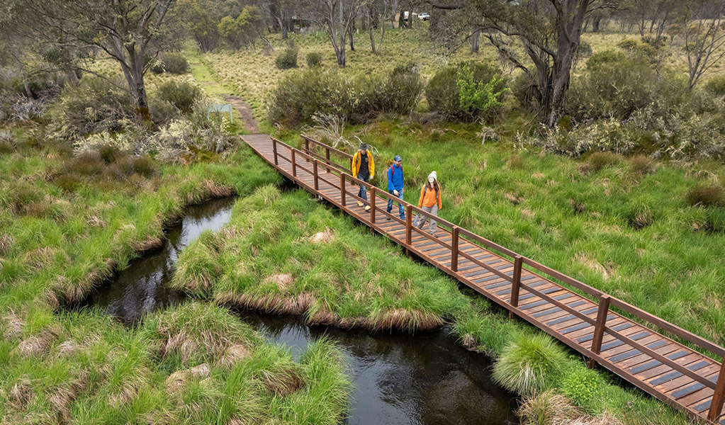 An aerial view of people on a raised boardwalk along Polblue Swamp track looking at the wetlands and high altitude forests of the Barrington Tops Plateau. Credit: John Spencer/DCCEEW  © DCCEEW