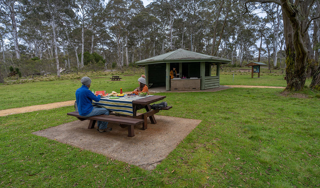 Two tents pitched under trees in Polblue campground and picnic area, Barrington Tops National Park. Photo: John Spencer/DPIE