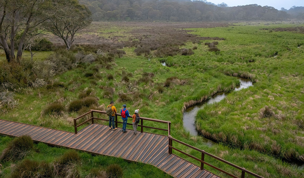 Aerial view of people on a raised boardwalk along Polblue Swamp track. Credit: John Spencer/DCCEEW  &copy; DCCEEW