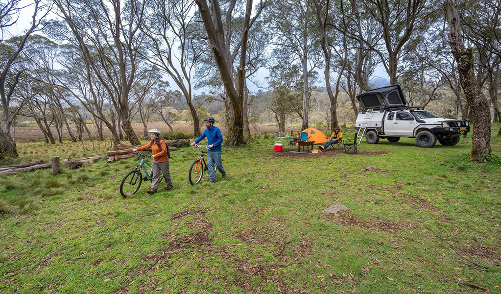 Amenities building set amongst trees in Polblue campground and picnic area, Barrington Tops National Park. Photo: John Spencer/DPIE