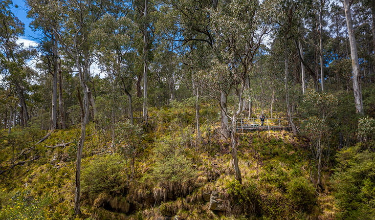 A man on a lookout along Polblue Falls walk in Barrington Tops State Conservation Area. Photo: John Spencer &copy; OEH