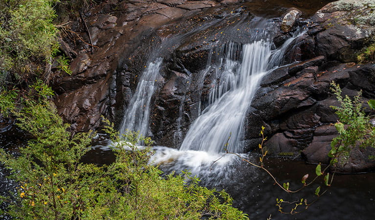 Front-on view of Polblue Falls in Barrington Tops State Conservation Area. Photo: John Spencer &copy; OEH