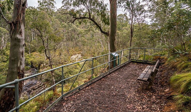 A bench at a lookout along Polblue Falls walk in Barrington Tops State Conservation Area. Photo: John Spencer &copy; OEH
