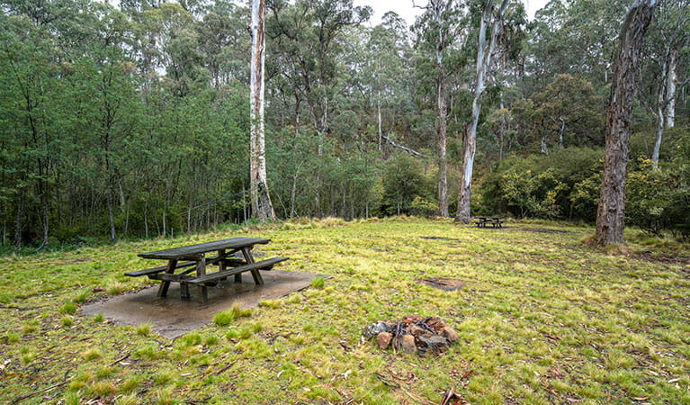 A picnic table and fire ring at Polblue Falls picnic area in Barrington Tops State Conservation Area. Photo: John Spencer