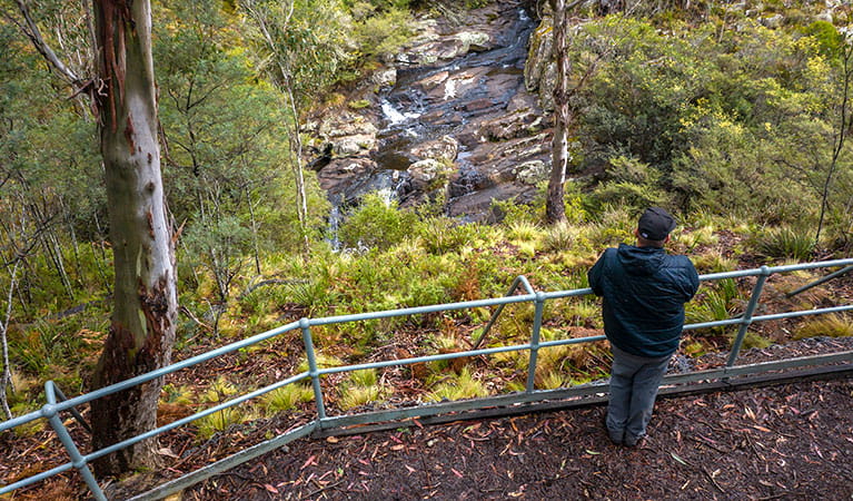 A man viewing Polblue Falls from behind a railing at a lookout in Barrington Tops State Conservation Area. Photo: John Spencer &copy; OEH