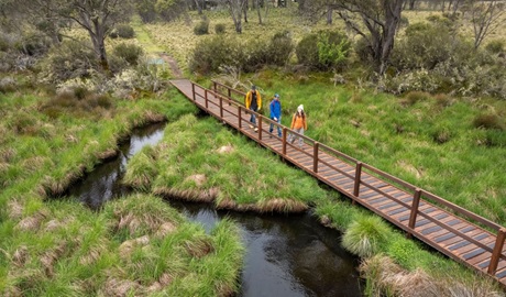 Three people crossing a wooden bridge over a creek along Polblue Swamp track in Barrington Tops National Park. Photo: John Spencer &copy; DCCEEW