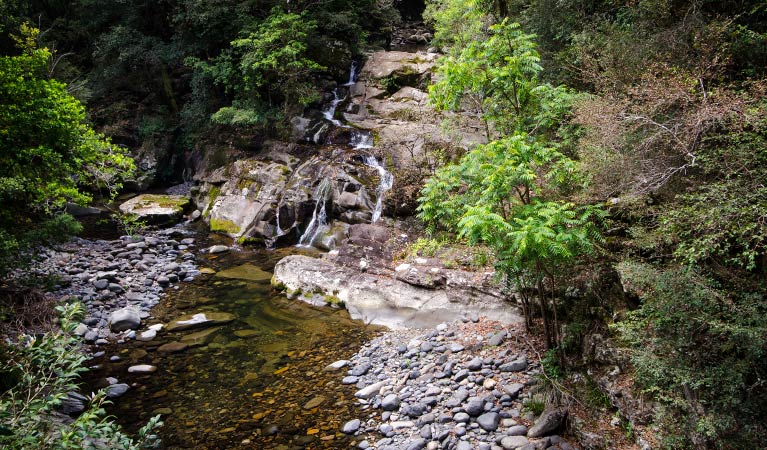 Rocky Crossing walking track, Barrington Tops National Park. Photo: John Spencer &copy; DCCEEW