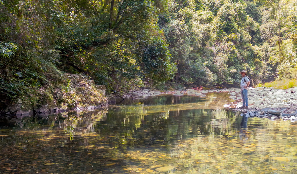 Reflections in the water on Rocky Crossing walking track, Barrington Tops National Park. Photo: John Spencer &copy; DCCEEW