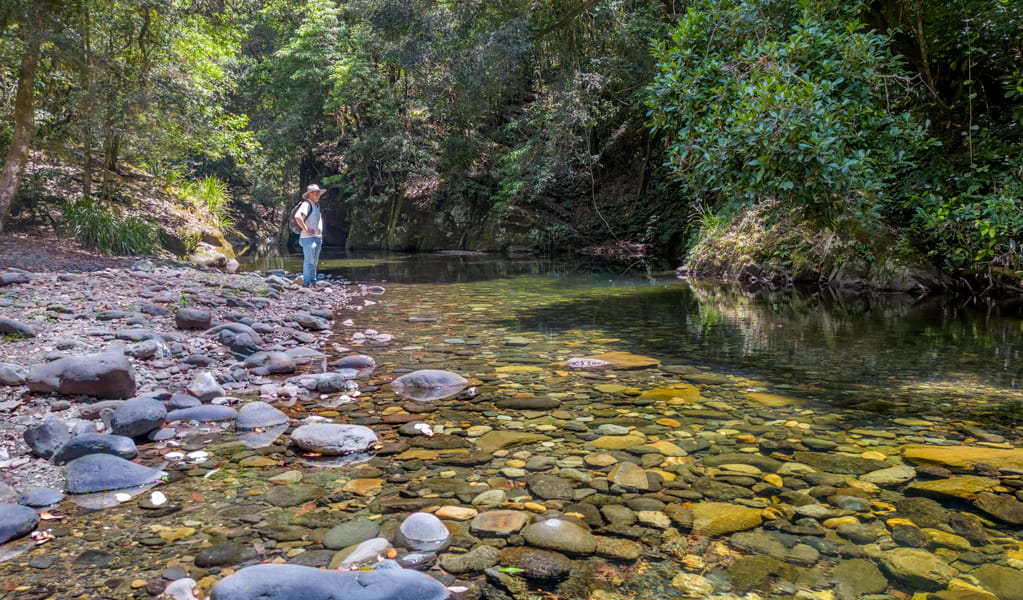 Person by clear creek on Rocky Crossing walking track, Barrington Tops National Park. Photo: John Spencer &copy; DCCEEW