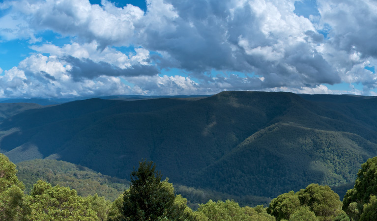 Thunderbolts lookout walk, Barrington Tops National Park. Photo: John Spencer