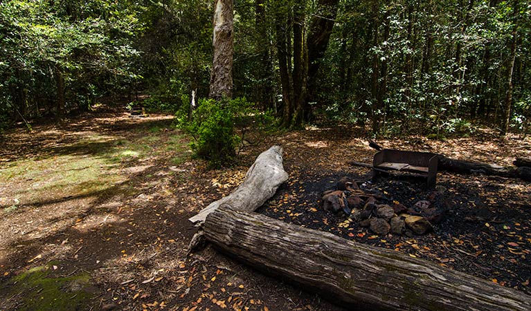 Wombat Creek campground, Barrington Tops National Park. Photo: John Spencer/NSW Government