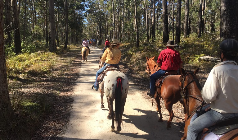 Group riding event Basket Swamp National Park. Photo:V Sherry Athra