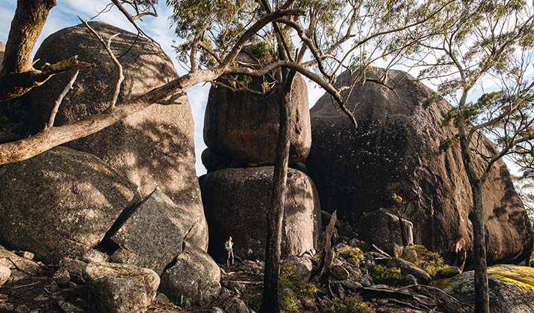 Woollool Woolloolni Aboriginal Place, Basket Swamp National Park. Photo credit: Harrison Candlin &copy; Harrison Candlin