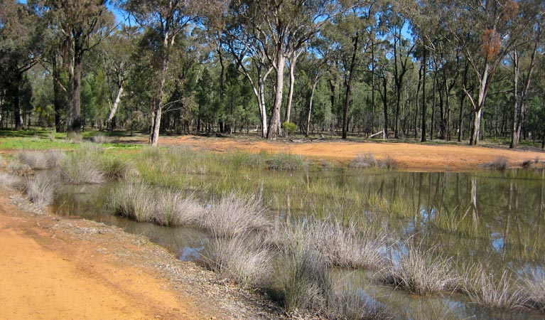 Two Dams picnic area, Beni State Conservation Area. Photo: M Bannerman