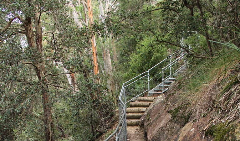 Staircase on Caleys lookout track. Photo: John Yurasek &copy; OEH