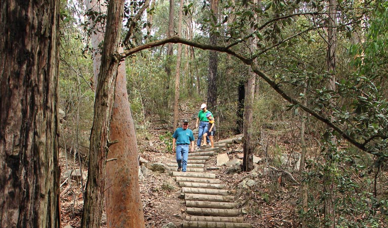 People walking on Caleys lookout track. Photo: John Yurasek &copy; OEH