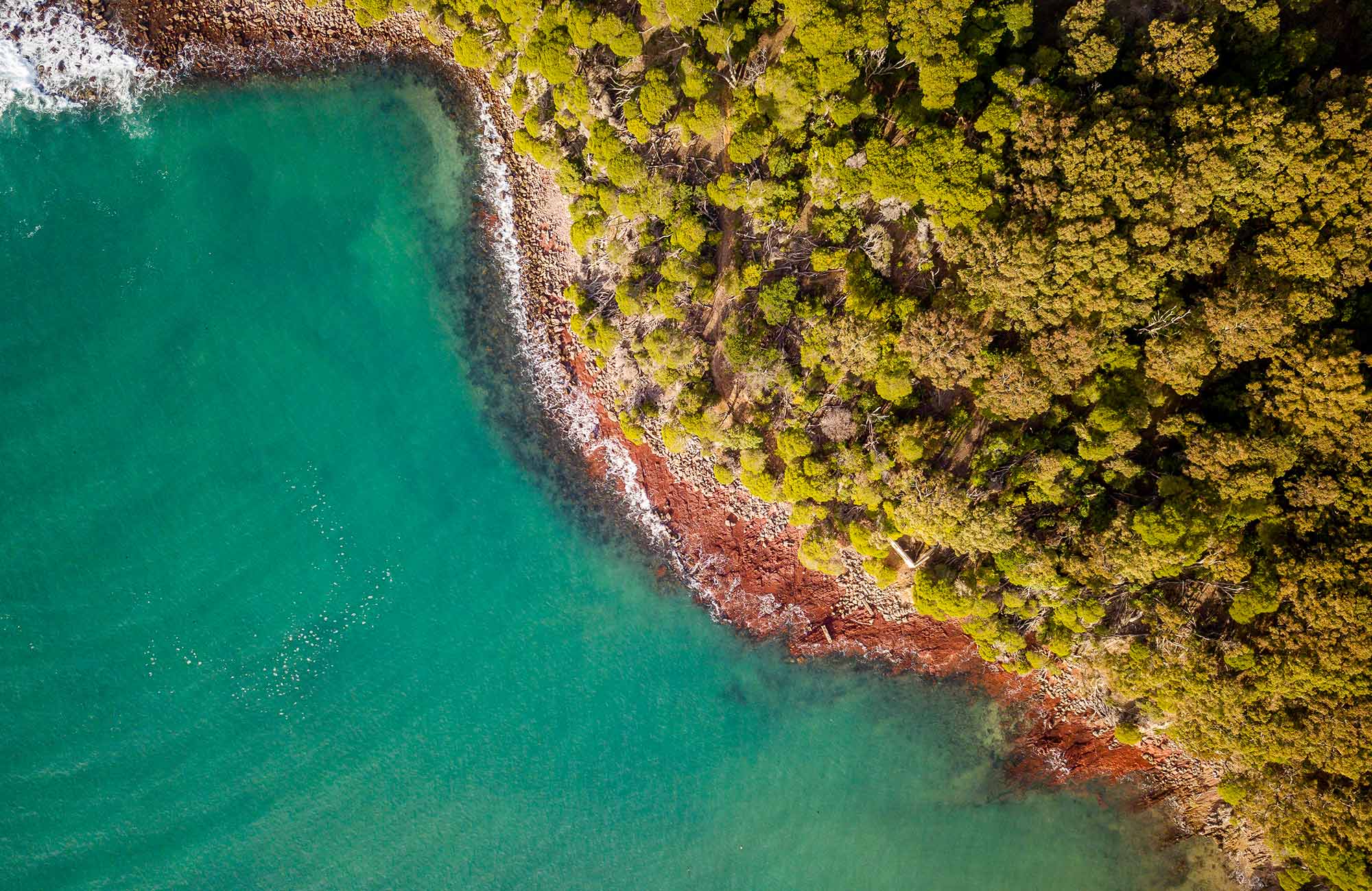 Aerial view of the ocean and trees at Bittangabee Bay. Photo: John Spencer/OEH