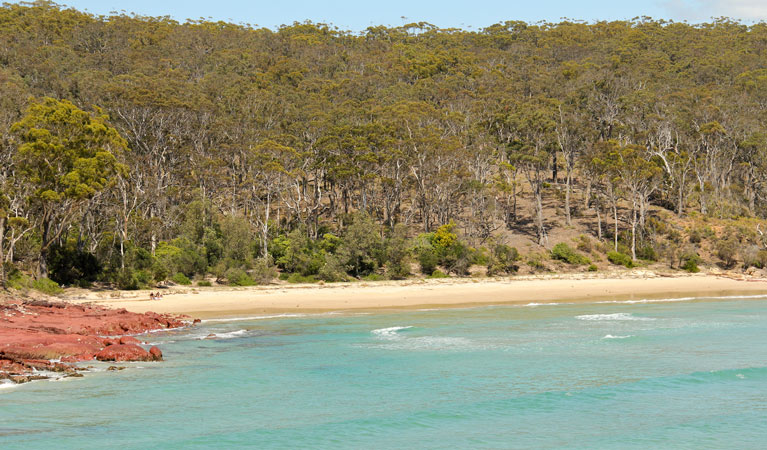 Barmouth Beach, Beowa National Park. Photo: John Yurasek