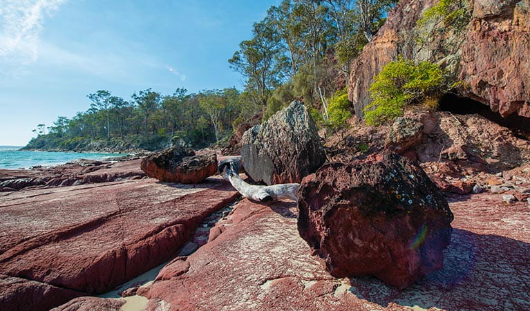 Colourful red rock shelf around Barmouth Beach in Beowa National Park. Photo: John Spencer/OEH