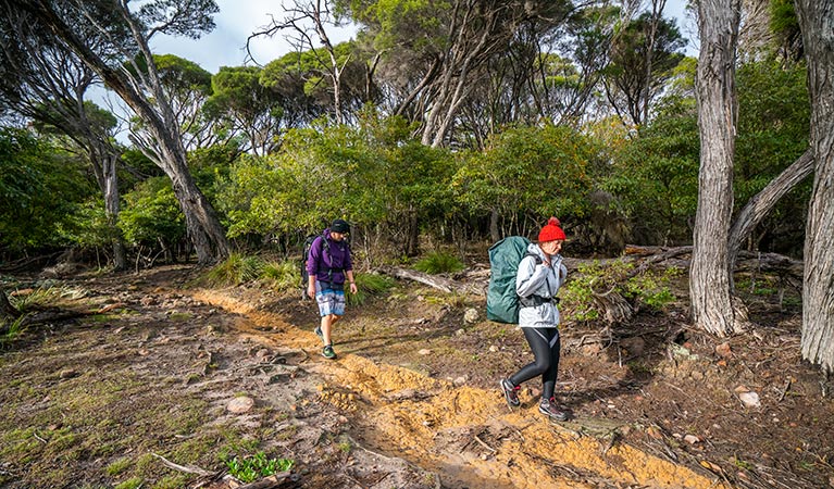 Walkers with backpacks walking a section of the Light to Light walk. Photo: John Spencer &copy; OEH