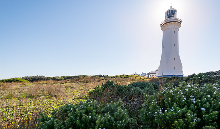 Bittangabee Bay to Green Cape walking track, Beowa National Park. Photo: John Spencer