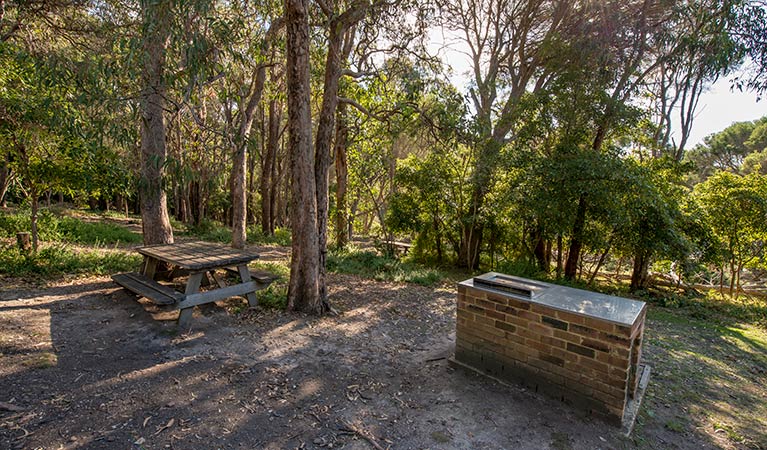 Bittangabee Bay, Beowa National Park. Photo: John Spencer/OEH