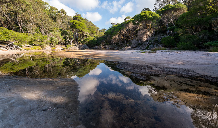 Bittangabee Bay, Beowa National Park. Photo: John Spencer/OEH