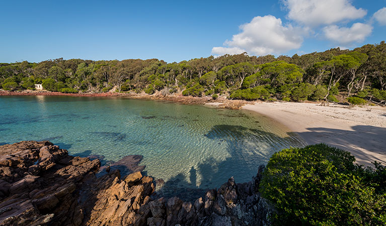 Bittangabee Bay, Beowa National Park. Photo: John Spencer &copy; OEH