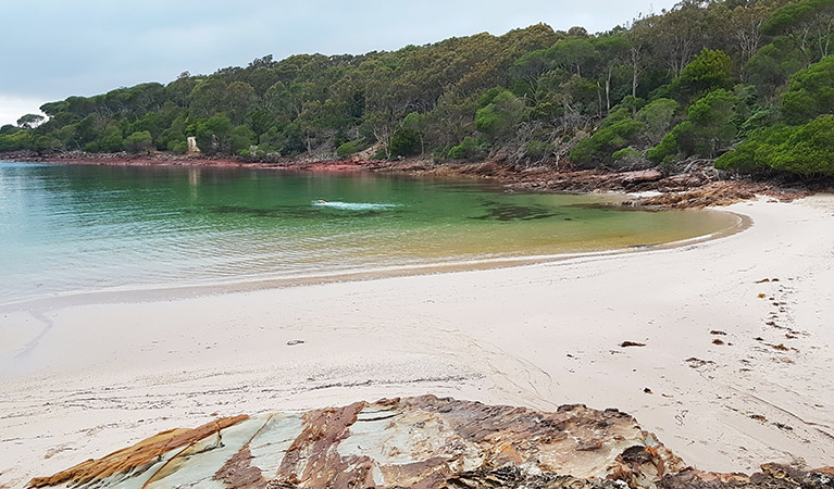 Swimming in Bittangabee Bay at sunrise. Photo: Amanda Cutlack/OEH