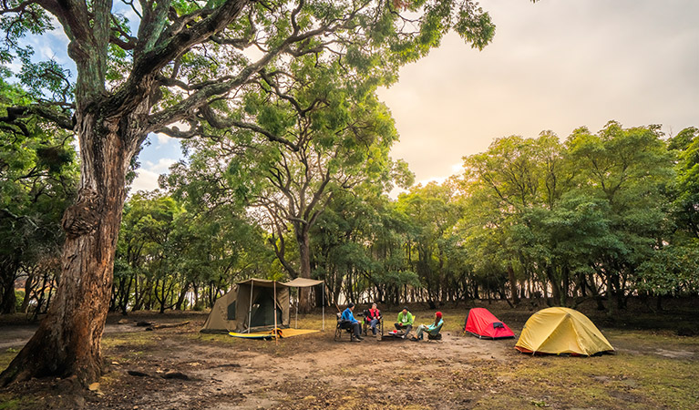 Campers at Bittangabee campground, Beowa National Park. Photo: John Spencer/OEH