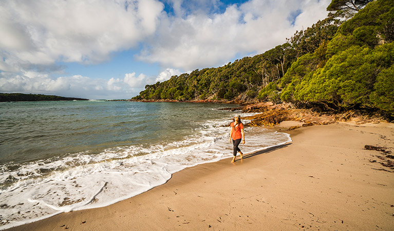 Walker on the shore of Bittangabee Bay near Bittangabee campground, Beowa National Park. Photo: John Spencer/OEH