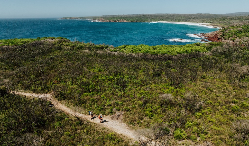 Aerial view of Saltwater Beach, Beowa National Park. Credit: Photo: Remy Brand/DCCEEW &copy; Remy Brand