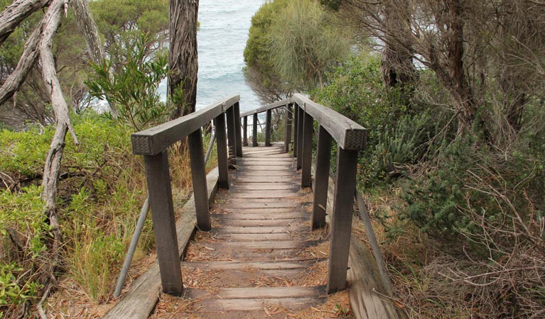 Boyds Tower to Saltwater Creek, Beowa National Park. Photo: John Yurasek &copy; OEH