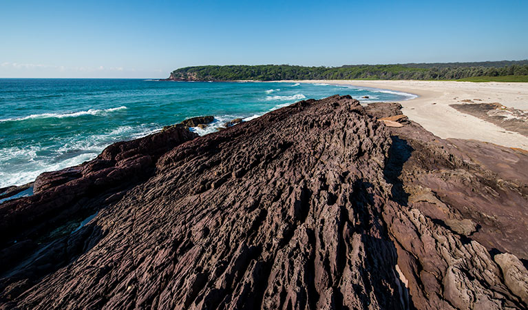 Boyds Tower to Saltwater Creek walking track, Beowa National Park. Photo: John Spencer &copy; OEH