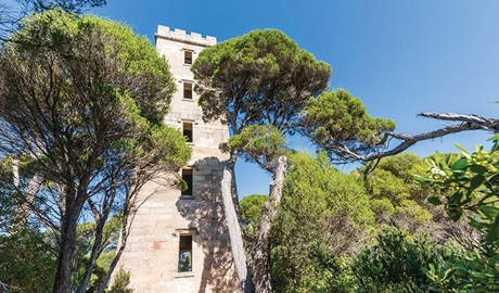 Boyds Tower in Beowa National Park. Photo: John Spencer &copy; OEH