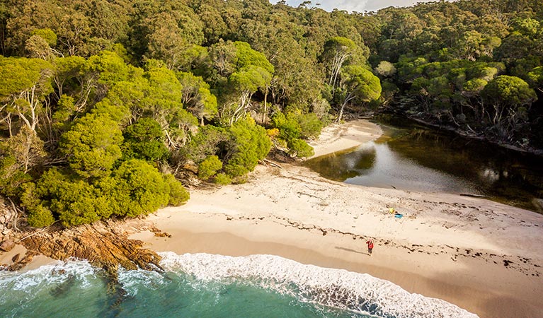 Aerial view of Bittangabee Bay an the eucalypt forest behind it. Photo: John Spencer &copy; DPIE