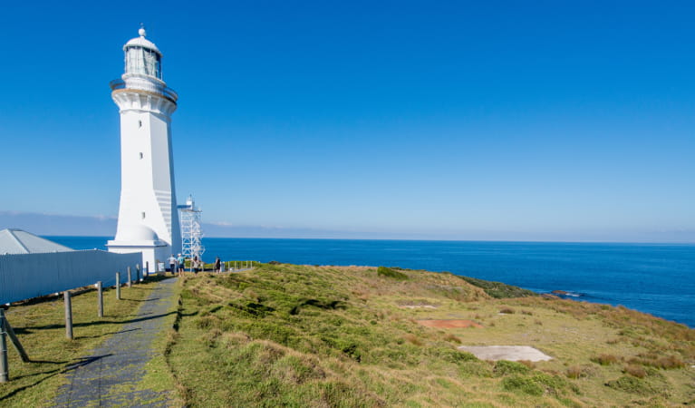 Walkway leading to Green Cape Lighthouse set on green, grassy coastal terrain. Photo: John Spencer &copy; DPIE