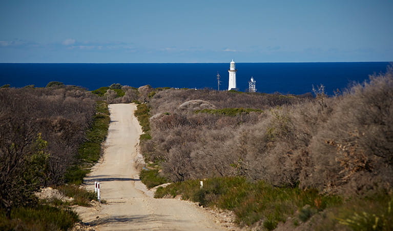 Dirt road leading to Green Cape Lightstation, the Pacific Ocean in the distance in Beowa National Park. Photo: Nick Cubbin/OEH