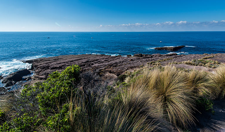 Green Cape lookout, Beowa National Park. Photo: John Spencer