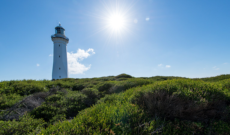 Green Cape lookout, Beowa National Park. Photo: John Spencer