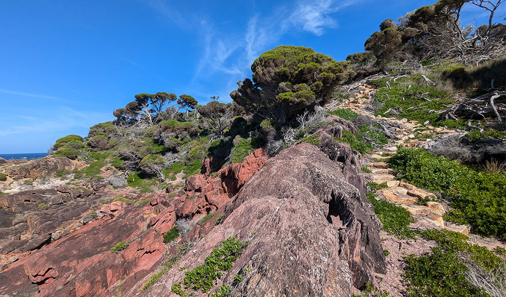 Sanstone steps and red rocks on Green Cape Loop walking track. Credit: Sam Doherty &copy; DCCEEW