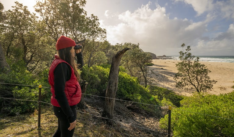 A woman watches for whales, Haycock Point picnic area, Beowa National Park. Photo: John Spencer/OEH
