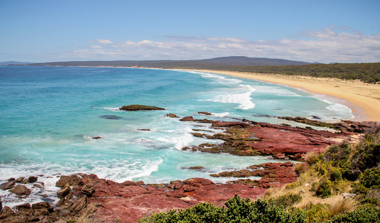 Haycock Point to Barmouth Beach walking track, Beowa National Park. Photo: John Yurasek &copy; OEH