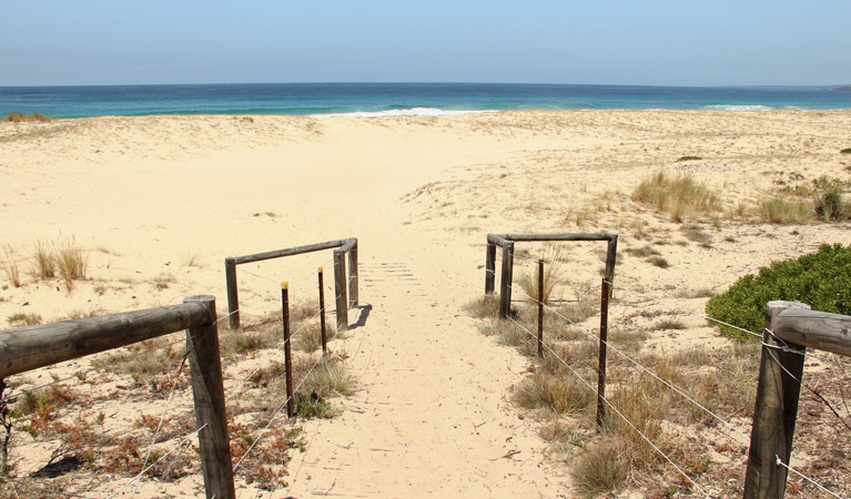 Haycock Point to Barmouth Beach walking track, Beowa National Park. Photo: John Yurasek &copy; OEH