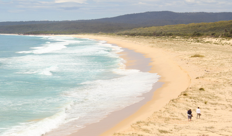 Haycock Point to Barmouth Beach walking track, Beowa National Park. Photo: John Yurasek &copy; OEH