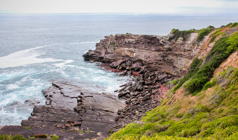 Haycock Point to Barmouth Beach walking track, Beowa National Park. Photo: John Yurasek &copy; OEH